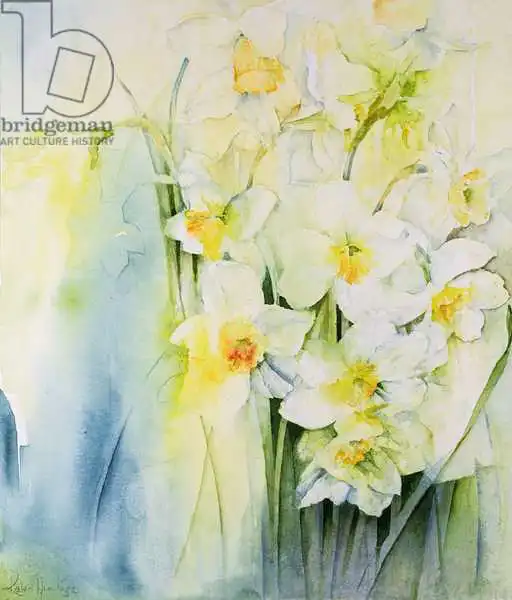 Armitage, Karen: Narcissi and freesia