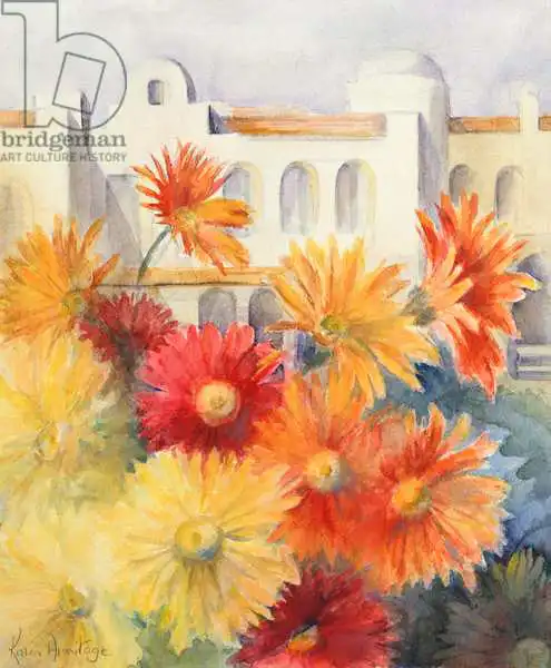 Armitage, Karen: Gerberas