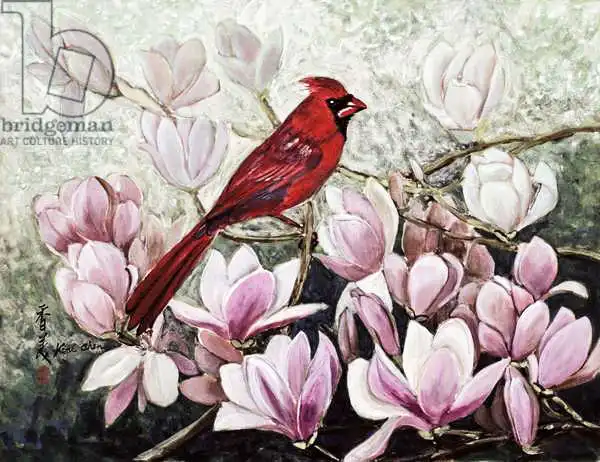 Chen, Komi: Cardinal