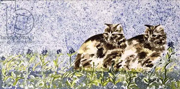 Kennett, Suzi: Cat Mint