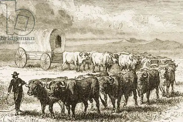 English school (19th century): A Bullock Wagon Crossing the Great Plains between St. Louis and Denver, c.1870, from 