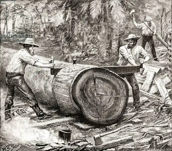 English school (19th century): Splitters in the Bush, c.1880, from 