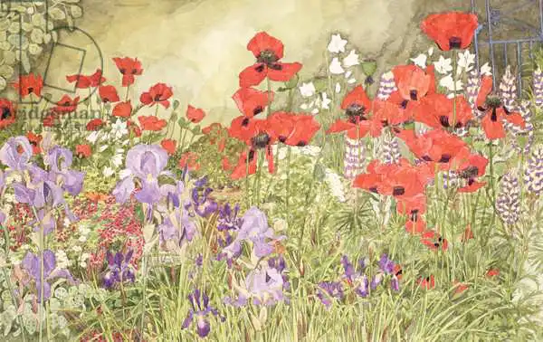 Benton, Linda: Poppies and Irises