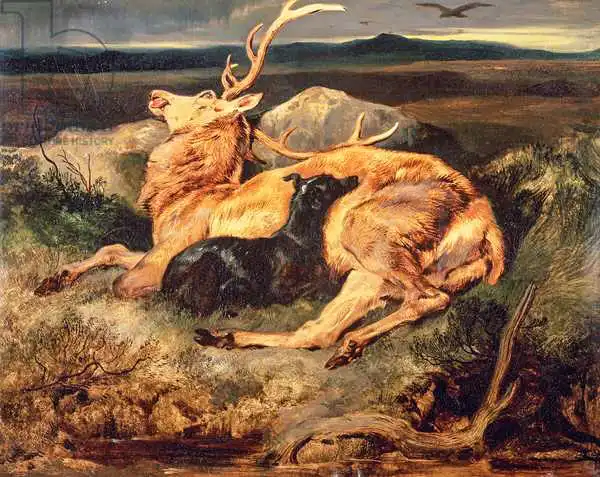 Landseer, Edwin: Stag