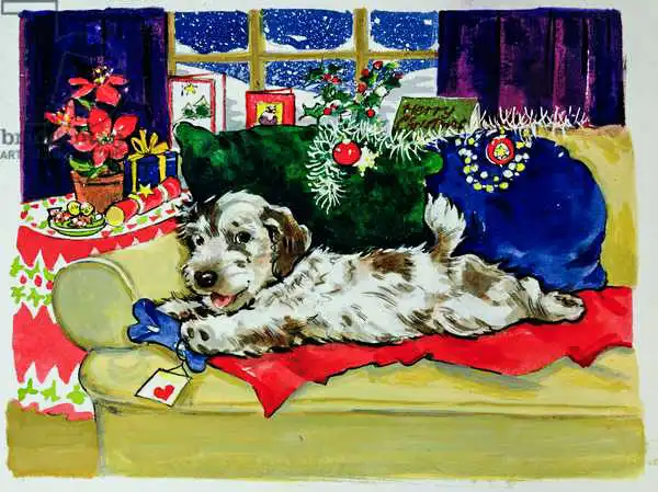 Matthes, Diane: A Bone for Christmas
