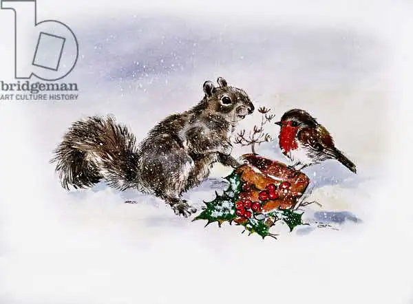 Matthes, Diane: The Squirrel and the Robin