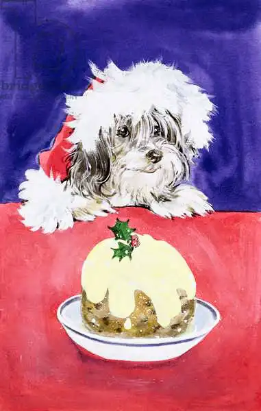 Matthes, Diane: The Christmas Pudding