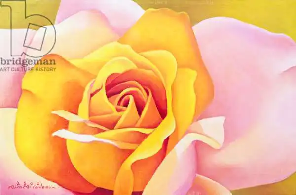 Sim, Myung-Bo: La rose