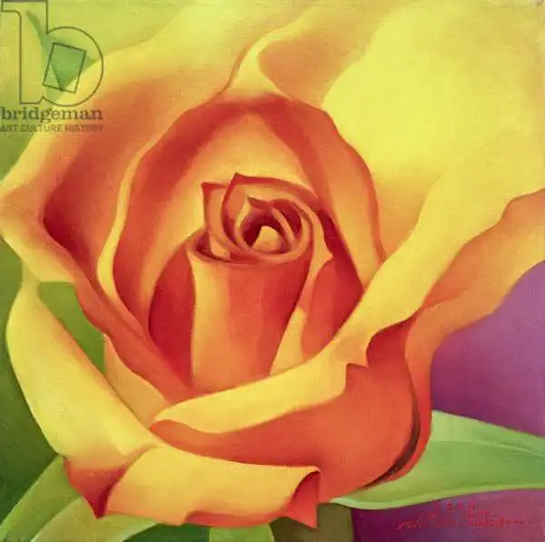 Sim, Myung-Bo: La rose