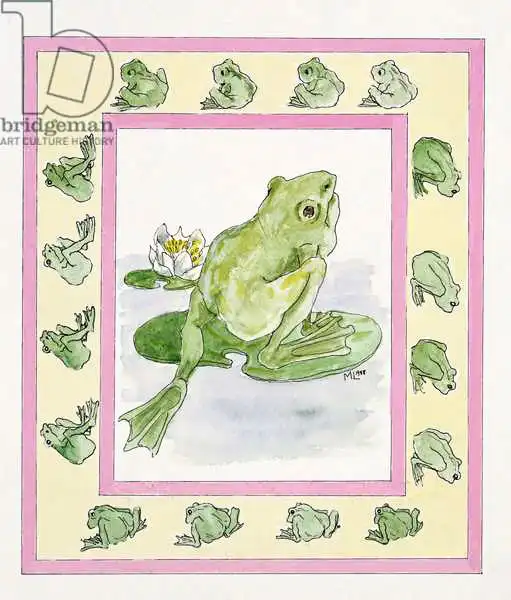 Legard, Miranda: Grenouilles
