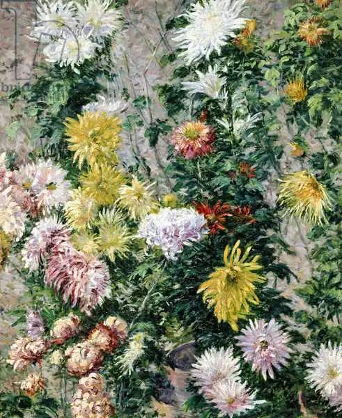 Caillebotte, Gustave: White and Yellow Chrysanthemums