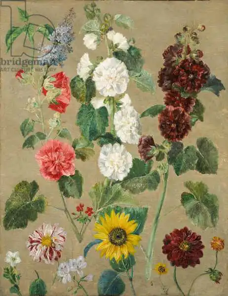 Delacroix, Eugene: Sin título (Flores)