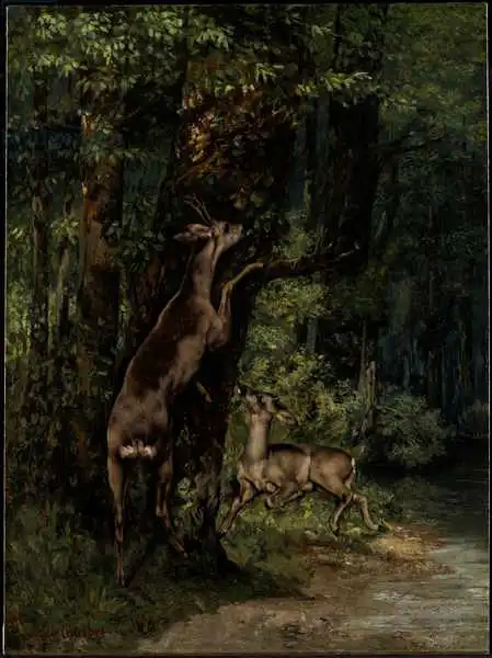 Courbet, Gustave: Deer in the Forest