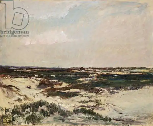 Daubigny, Charles-Francois: The Dunes at Camiers