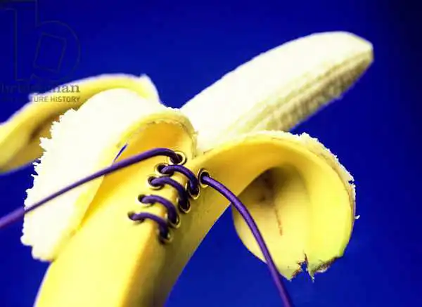 Hollands, Norman: Banane dans un basque