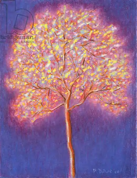 Davidson, Peter: Gold Tree