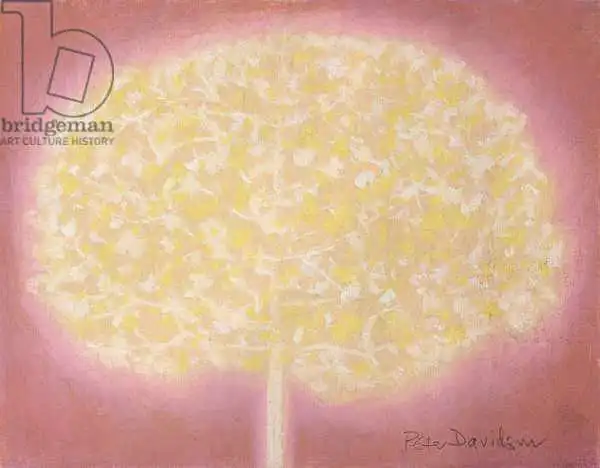 Davidson, Peter: Unknown