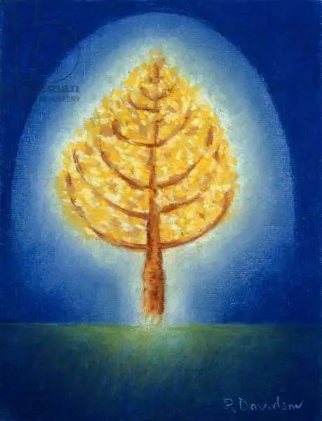 Davidson, Peter: Glowing Tree
