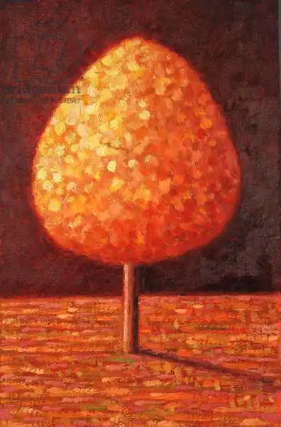 Davidson, Peter: Sun Drenched Tree
