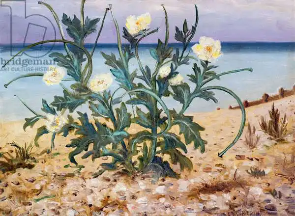 Nevinson, Christopher Richard Wynne: Sanddünen, Ostküste