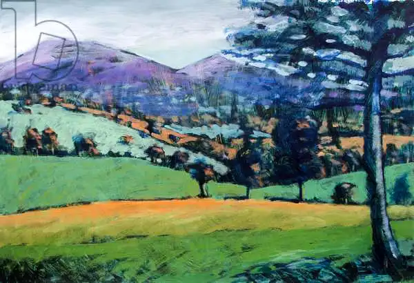 Powis, Pau: Misty Morning