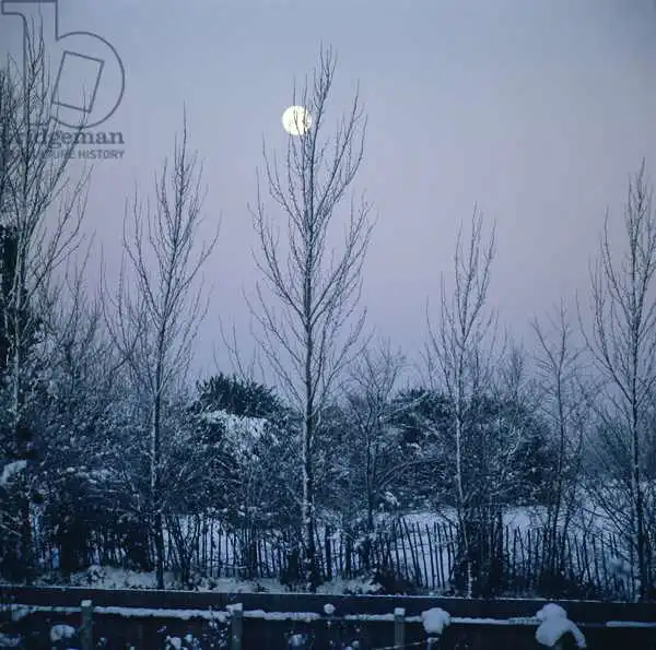 Unknown: Crépuscule