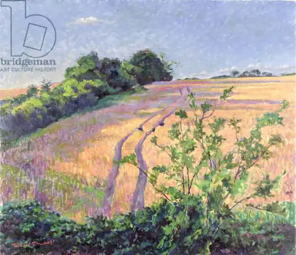 Tyndall, Robert: Golden Summer