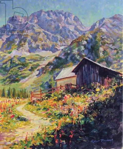 Tyndall, Robert: Haute Alpes, France