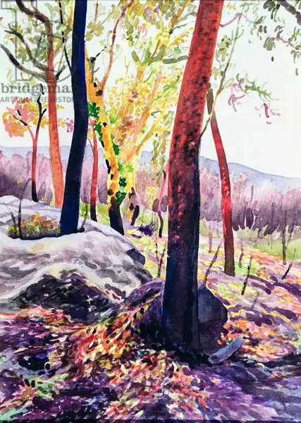 Tyndall, Robert: Supervivientes del incendio forestal, Sydney