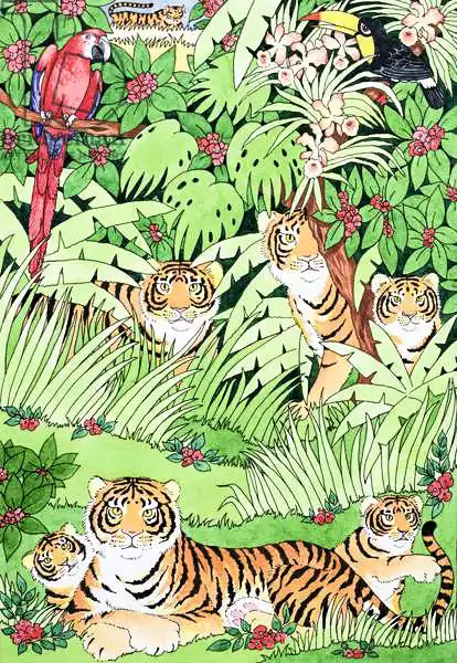 Bailey, Suzanne: Tiger Jungle