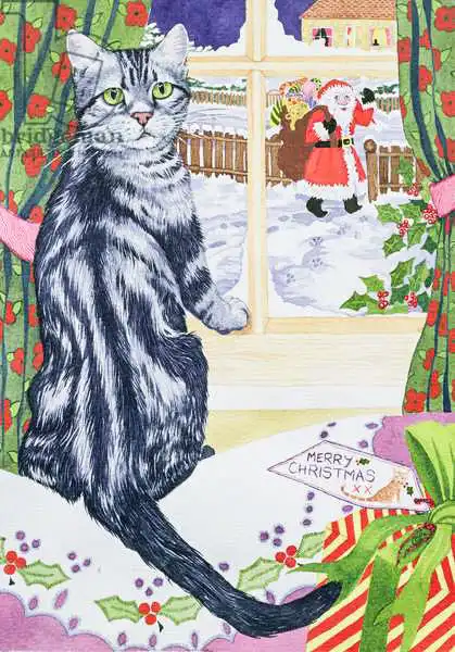 Bailey, Suzanne: A Christmas visitor for Toby