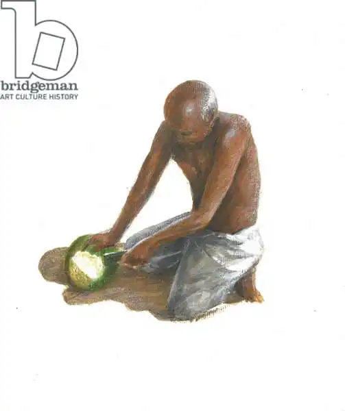 Seligman, Lincol: Der Kokosnussmann