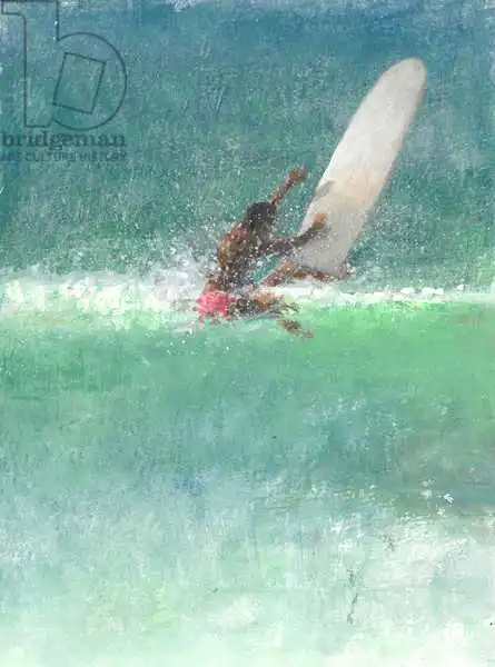 Seligman, Lincol: Surfing 1, Sri Lanka