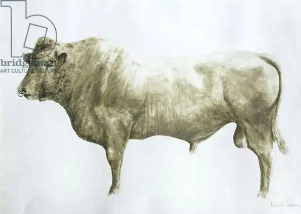 Seligman, Lincol: Islay Bull