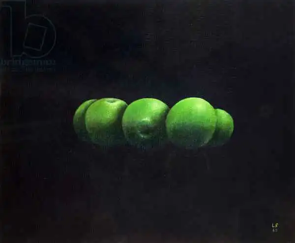 Seligman, Lincol: Five Green Apples