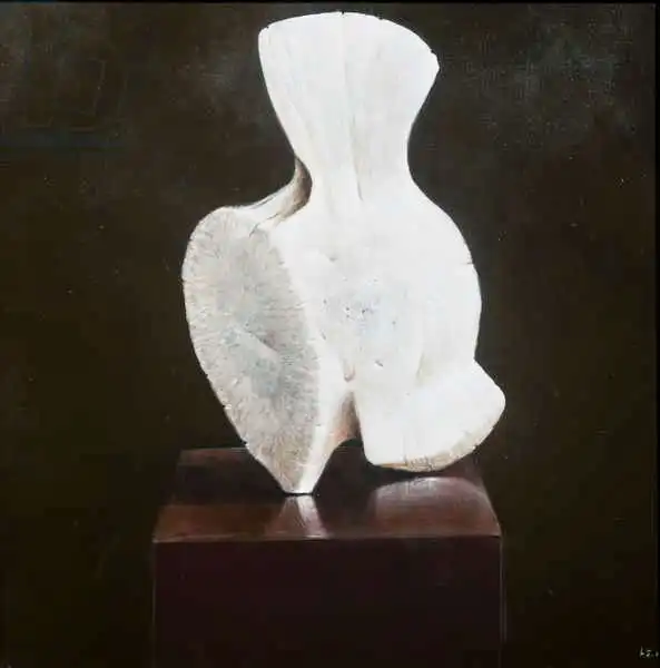 Seligman, Lincol: Whole Vertebra