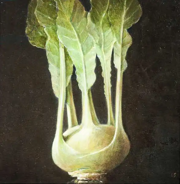 Seligman, Lincol: Kohl Rabi