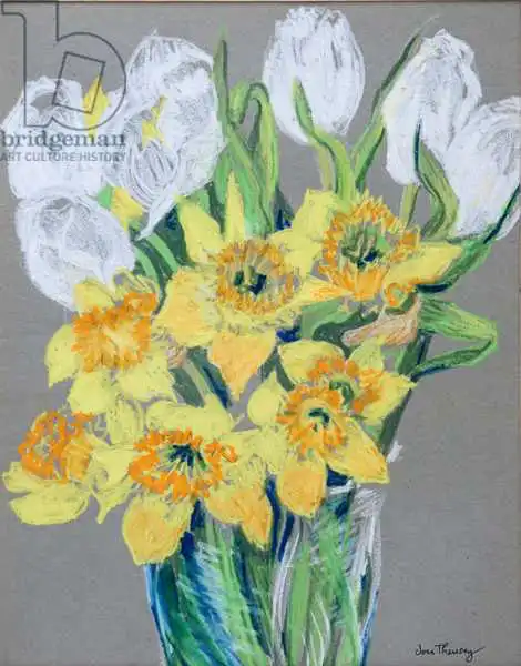 Thewsey, Joa: Daffodils and White Tulips