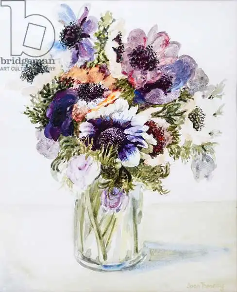 Thewsey, Joa: Anemones in a Glass Jug