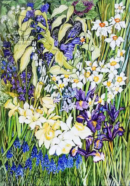 Thewsey, Joa: Spring Border