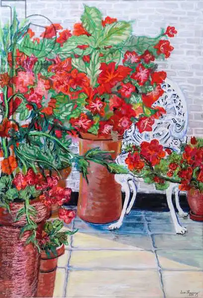 Thewsey, Joa: Geraniums and Petunias on the Terrace