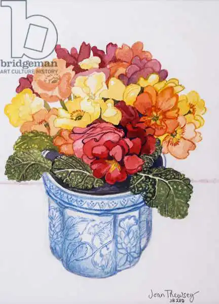 Thewsey, Joa: Multicoloured Primrose 2011