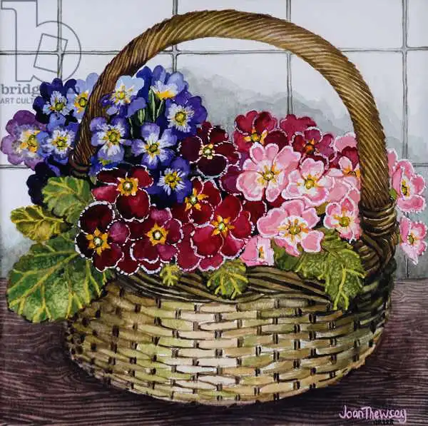 Thewsey, Joa: Mauve rouges et roses dans un panier 2012