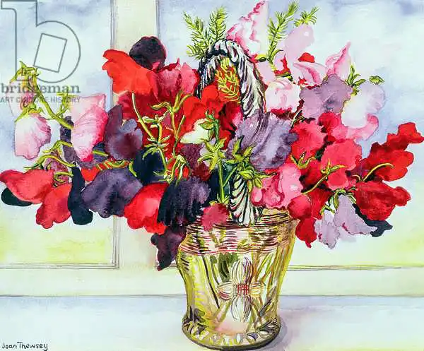 Thewsey, Joa: Sweet Peas in a Vase
