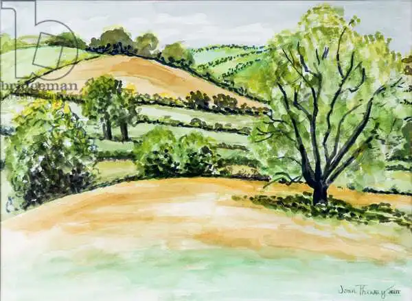 Thewsey, Joa: Paysage du Suffolk, vue de l