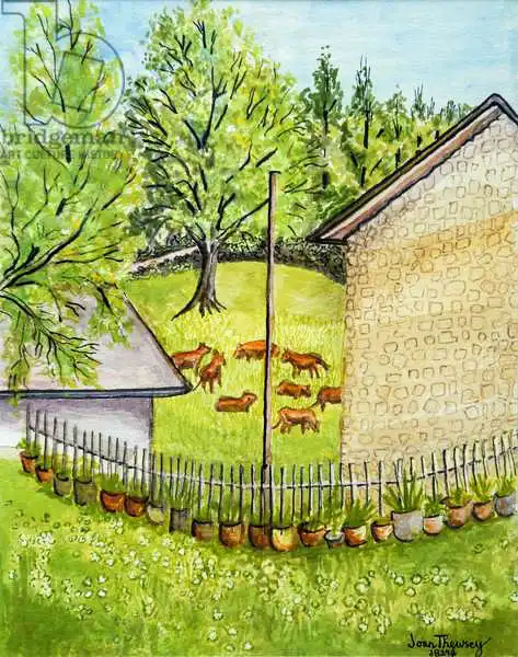 Thewsey, Joa: Vue du jardin de Ruth, limousin France, couleur de l
