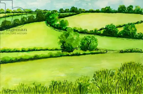 Thewsey, Joa: Summer Landscape water colour
