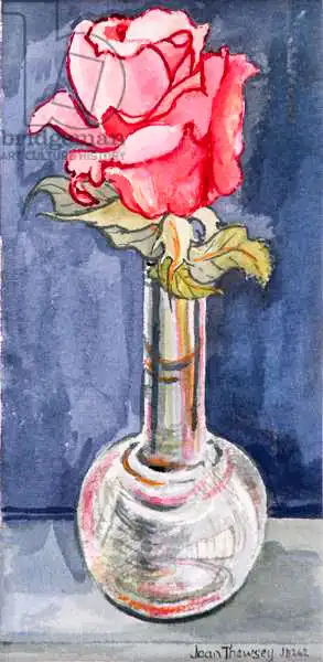 Thewsey, Joa: Rosa rosa in un vaso di boccioli