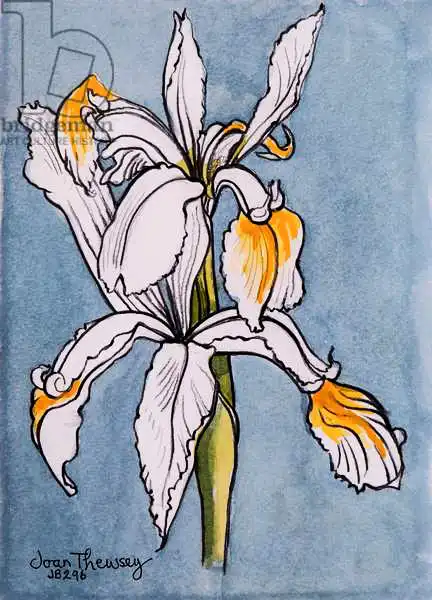 Thewsey, Joa: Due Iris