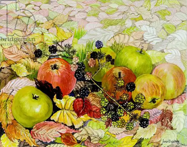 Thewsey, Joa: Pommes et mûres sur les feuilles d